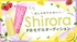 おしゃれでかわいい『Shirora』PRモデルオーディション