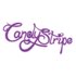 2015年1月CD流通決定！CANDYIISTRIPE（東京／名古屋／大阪）メンバー募集！