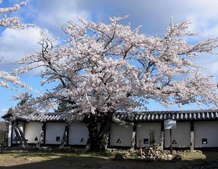 福島県白河市に伝わる築城にまつわる少女の数奇な物語